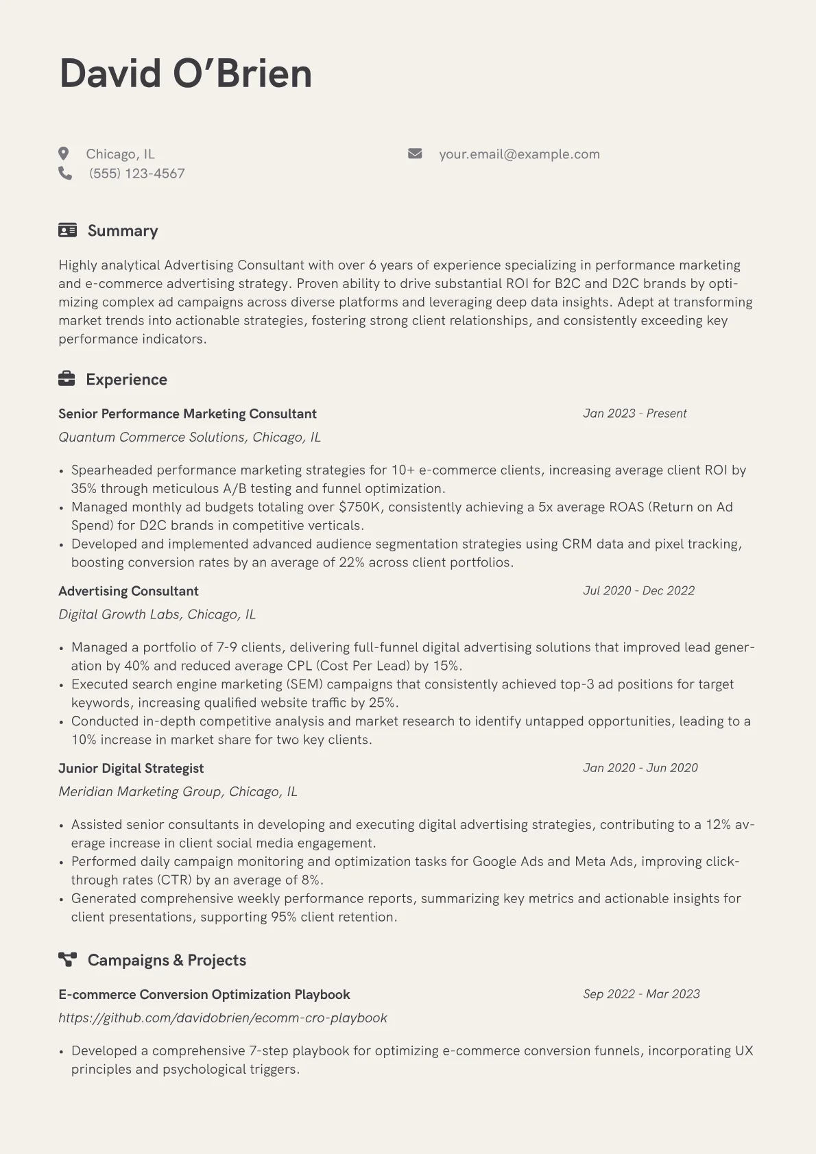 Advertising Consultant resume example, Performance Marketing, page 1