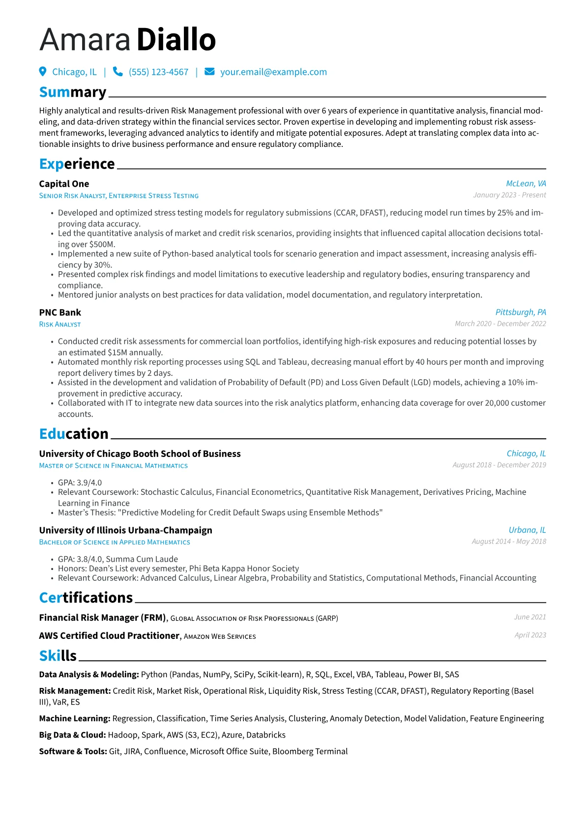 Citibank resume example, Data Analysis & Modeling, page 1
