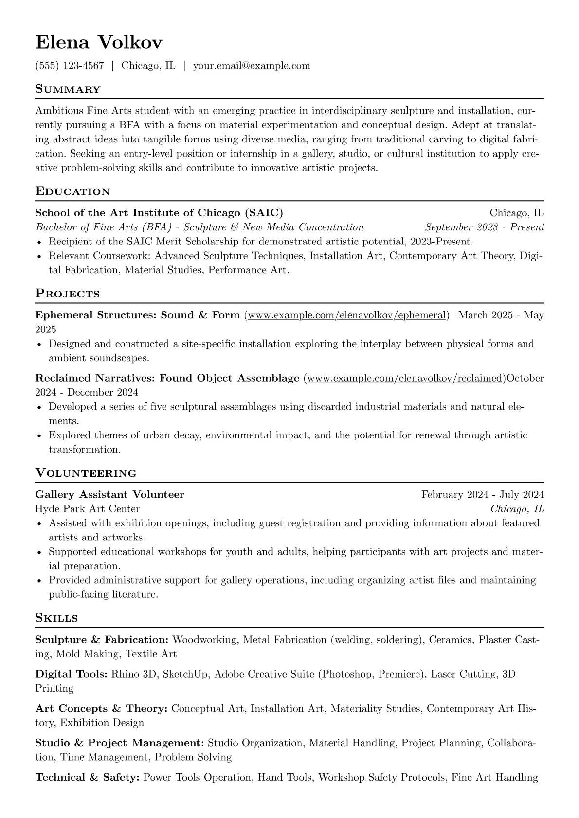Fine Arts Student resume example, Fine Arts Student, page 1