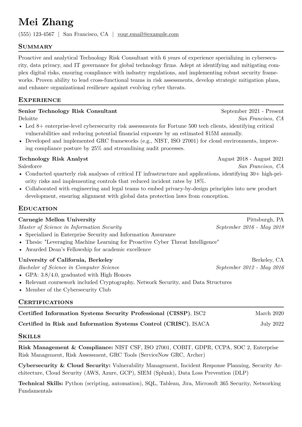 Technology Risk Consultant version - Page 1