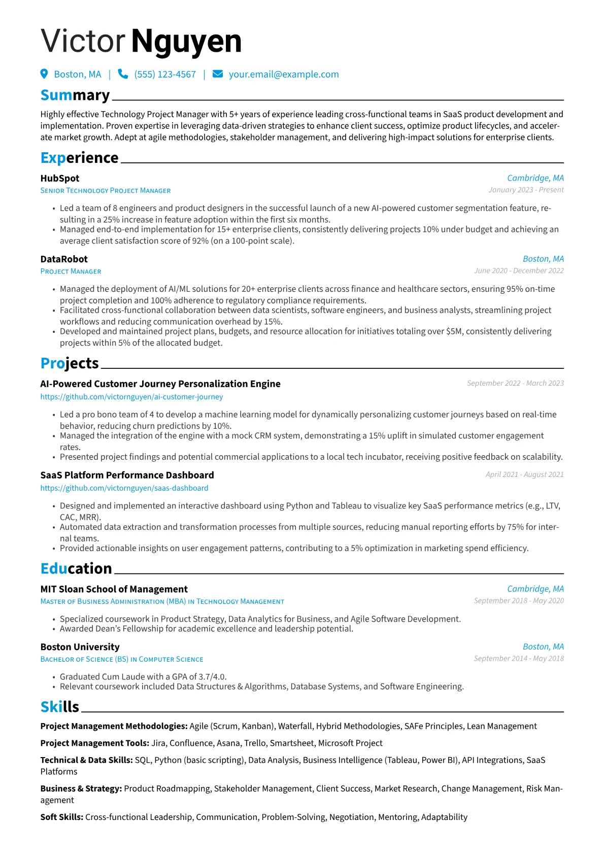 Technology Project Manager resume example, Technology Project Manager, page 1