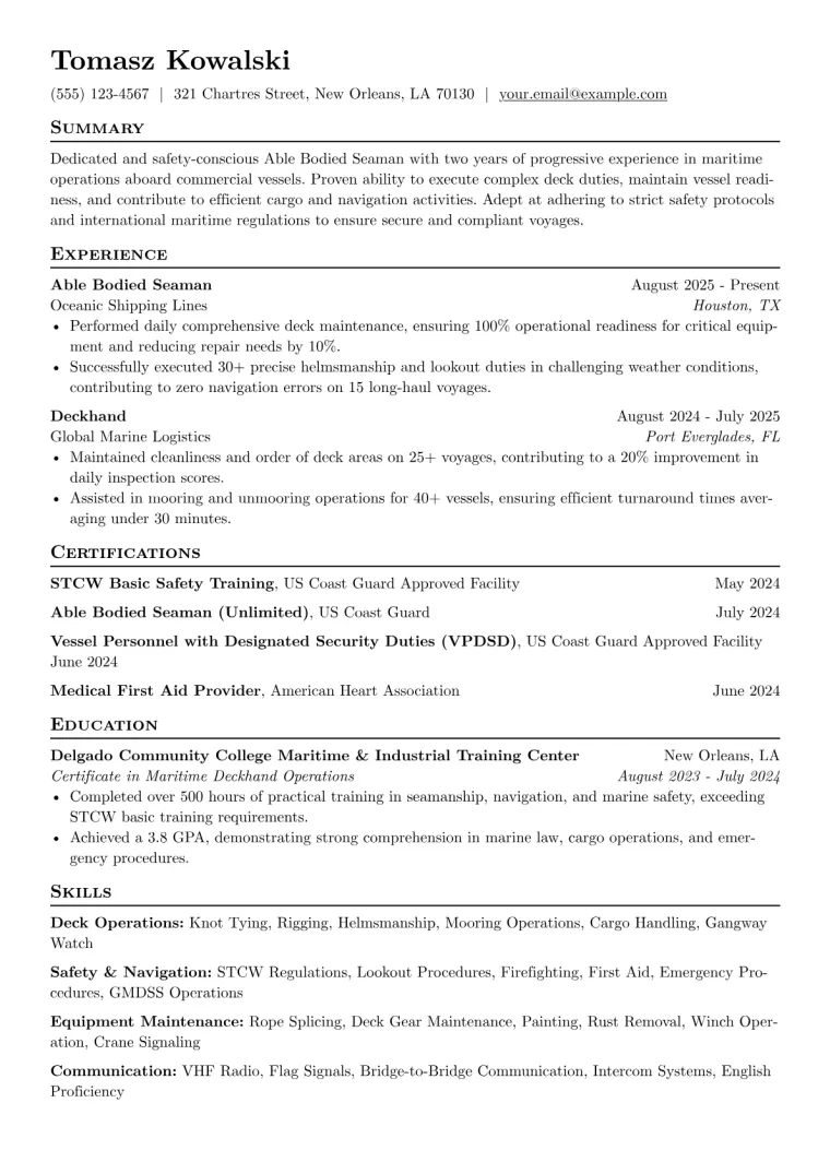 Able Bodied Seaman Resume Example preview
