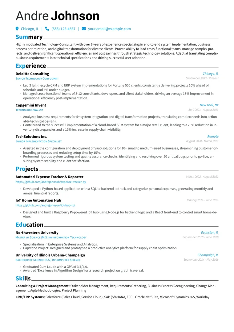 Accenture Resume Example CV template preview