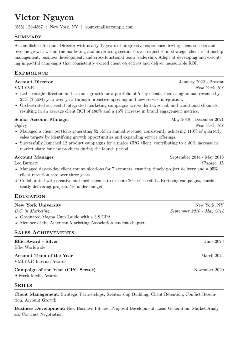Account Director Resume Example CV template preview