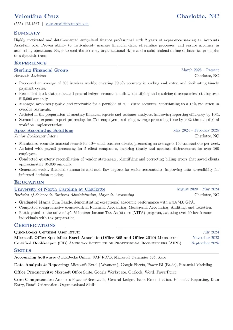 Accounts Assistant Resume Example CV template preview