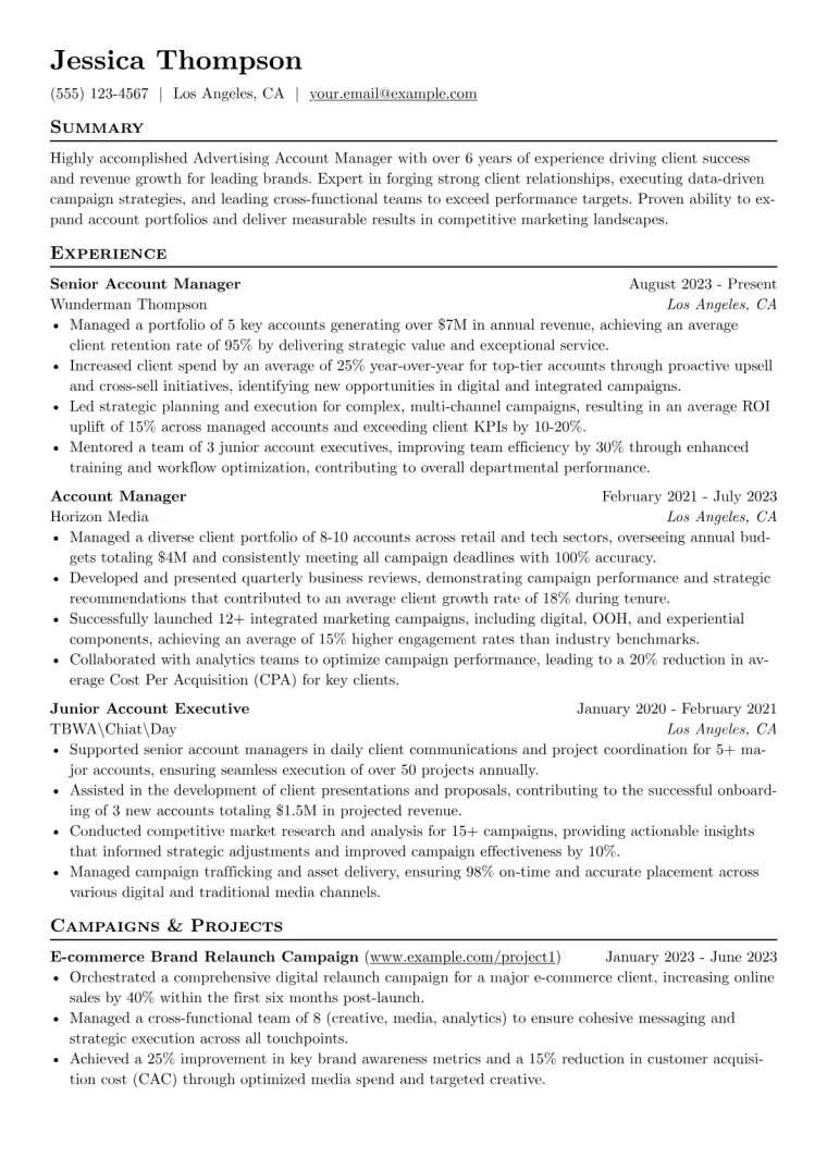 Advertising Account Manager Resume Example preview