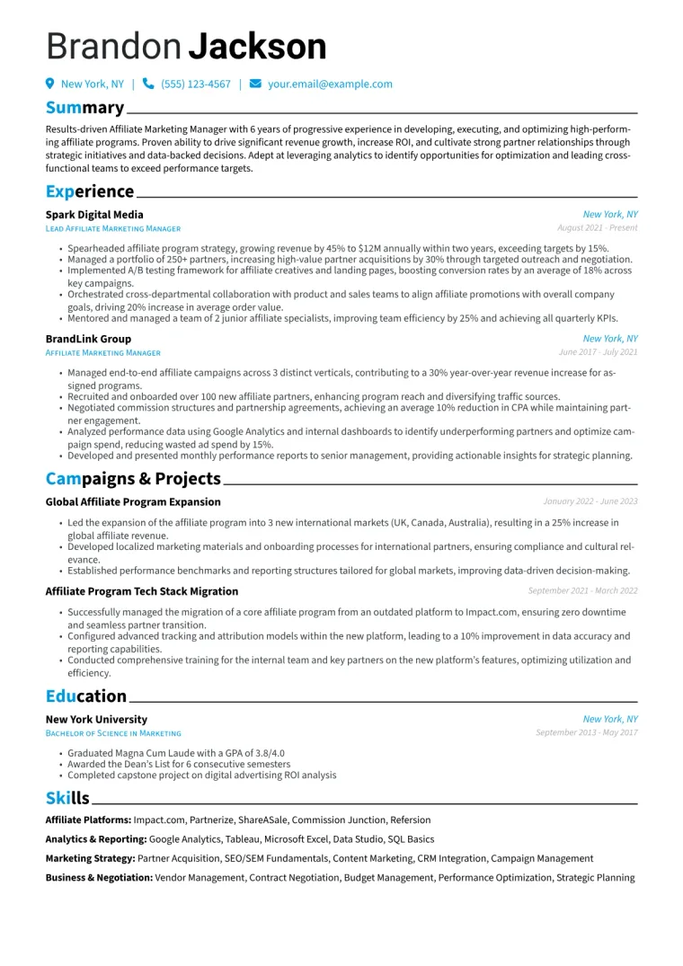 Affiliate Marketing Manager Resume Example CV template preview