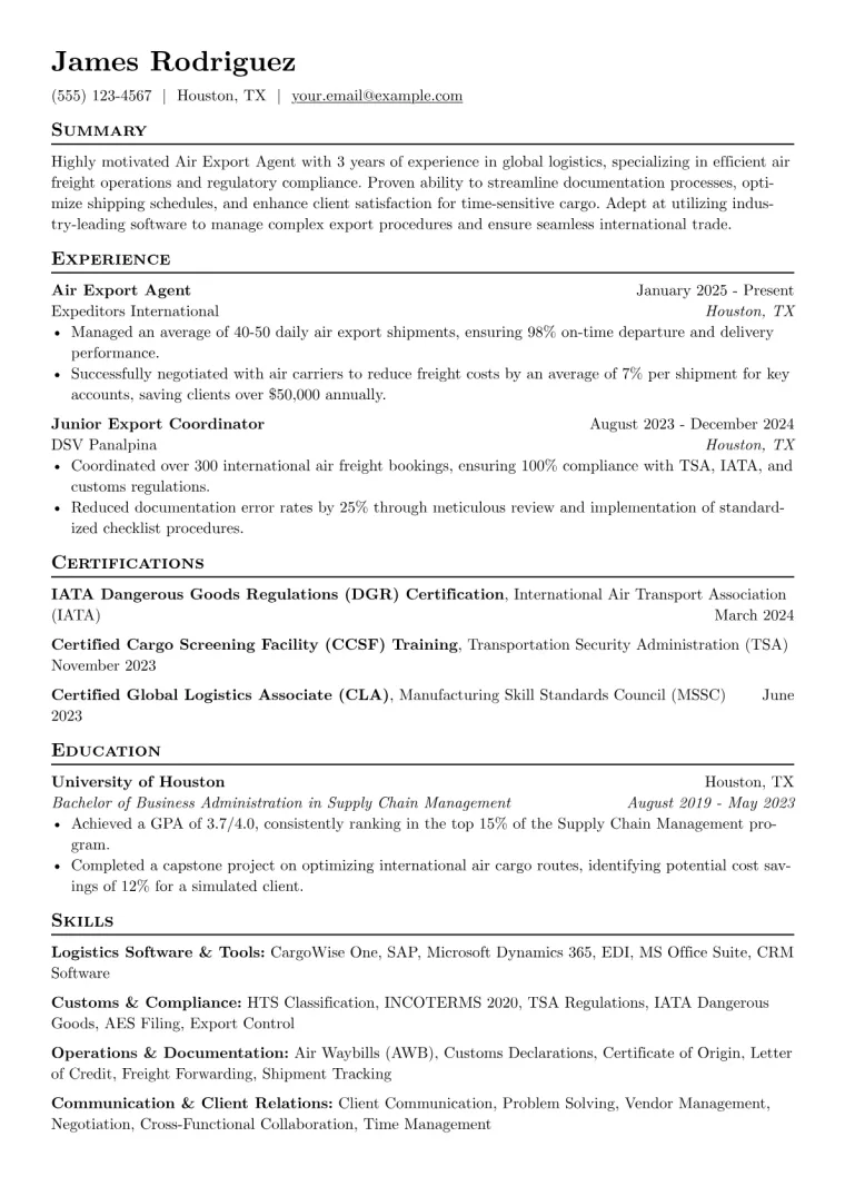 Air Export Agent Resume Example preview