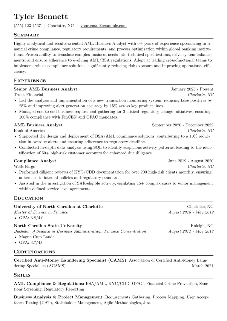 AML Business Analyst Resume Example CV template preview