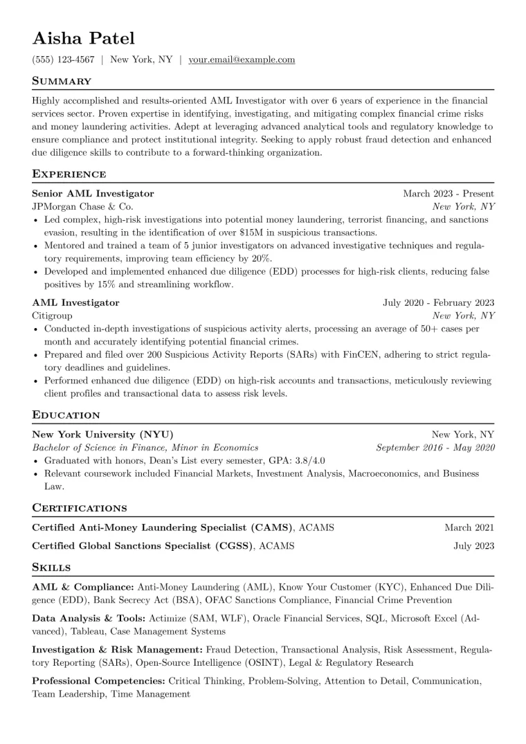 AML Investigator Resume Example CV template preview