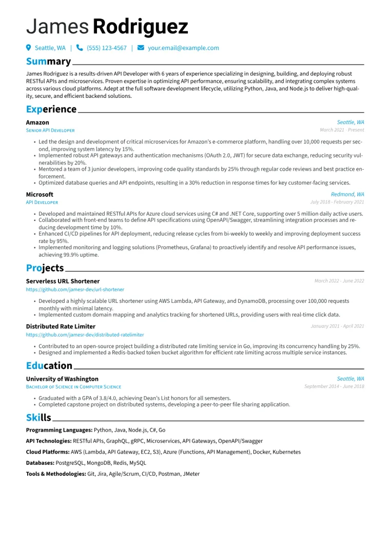 API Developer Resume Example CV template preview