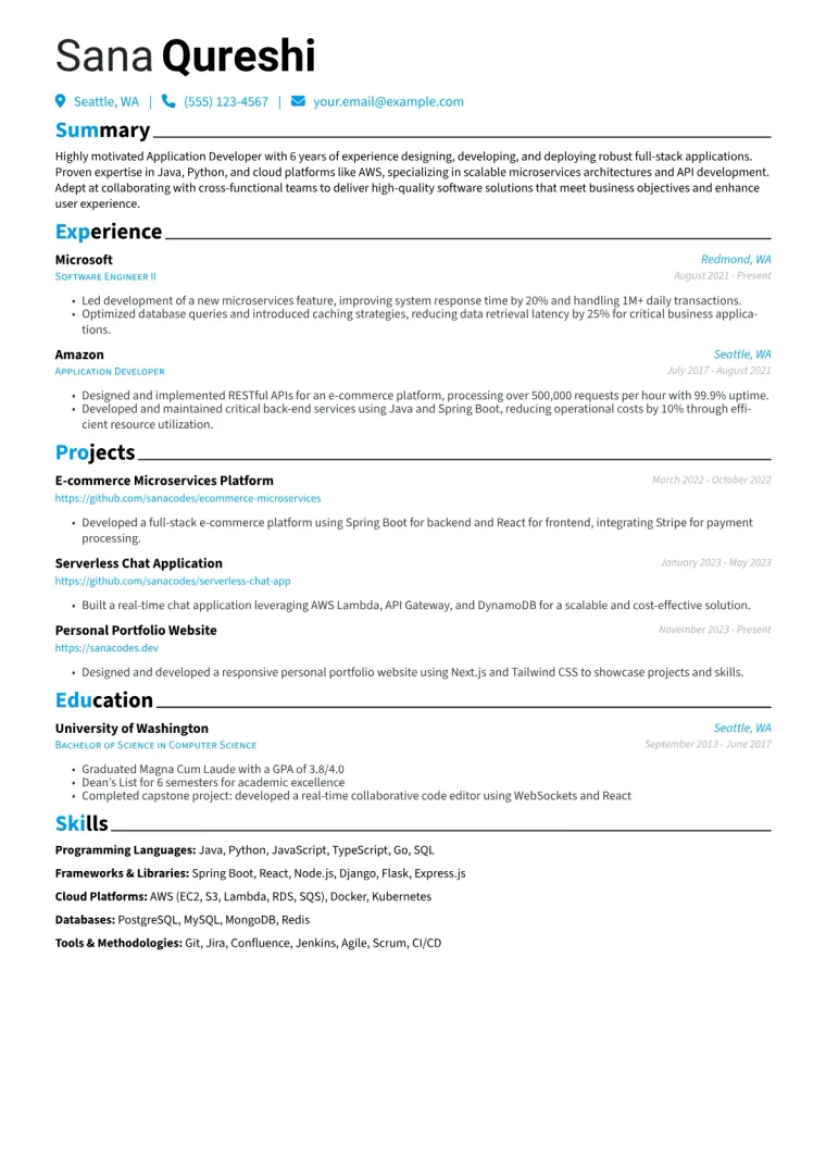 Application Developer Resume Example CV template preview