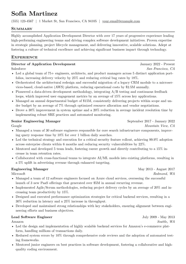 Application Development Director Resume Example preview