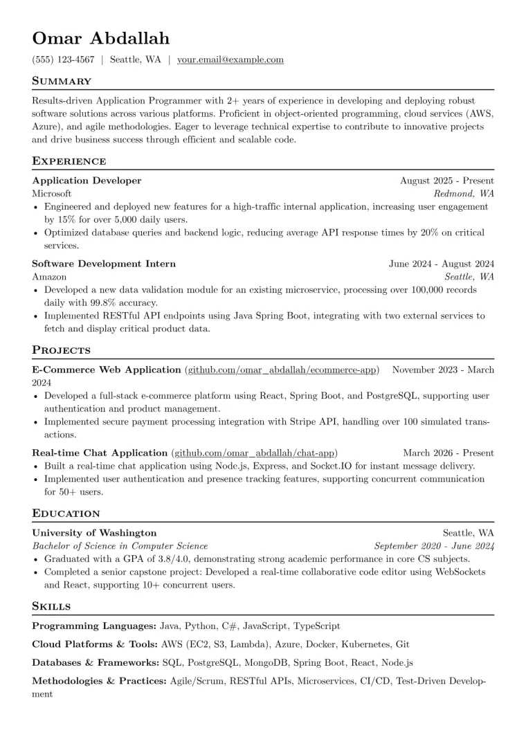 Application Programmer Resume Example preview
