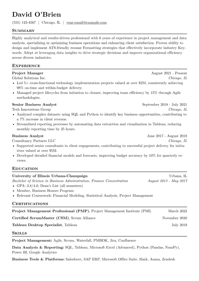 ATS-Friendly Resume Example CV template preview