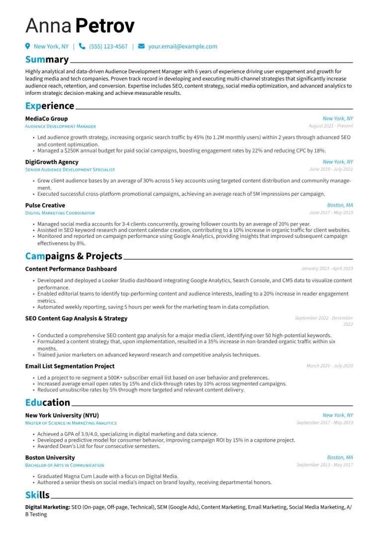 Audience Development Manager Resume Example CV template preview