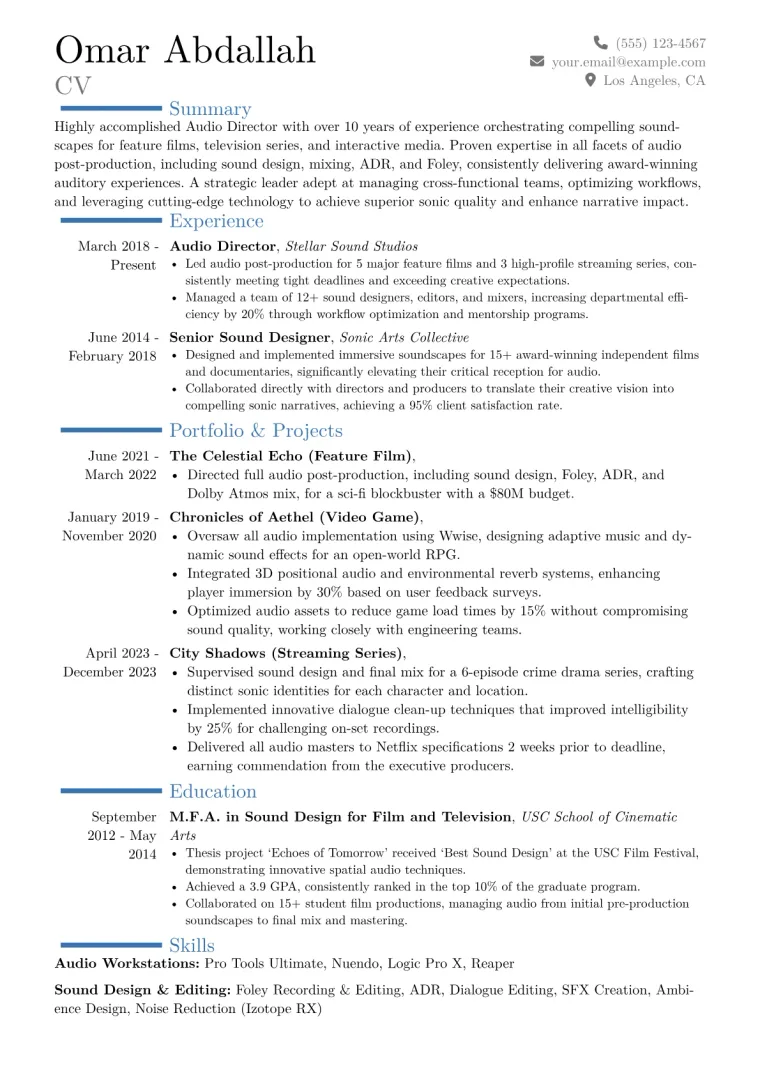 Audio Director Resume Example CV template preview