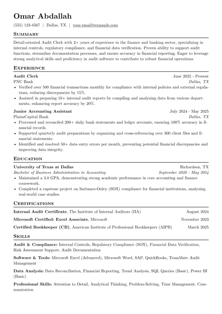 Audit Clerk Resume Example CV template preview