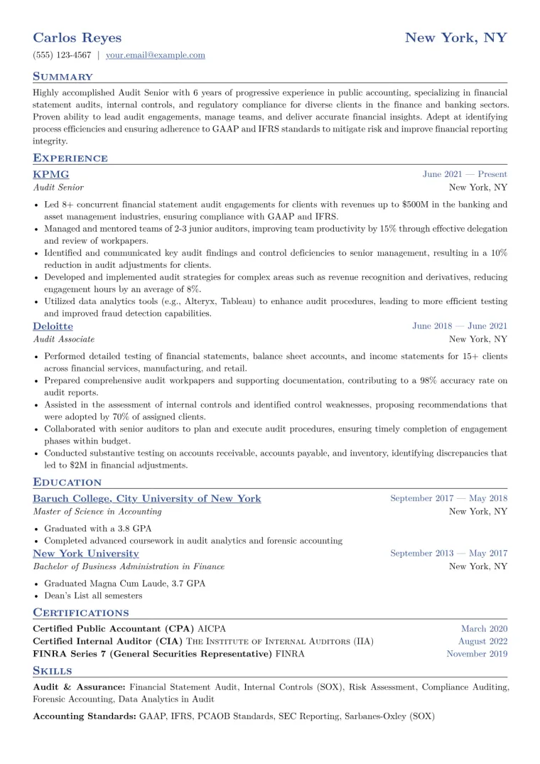 Audit Senior Resume Example CV template preview