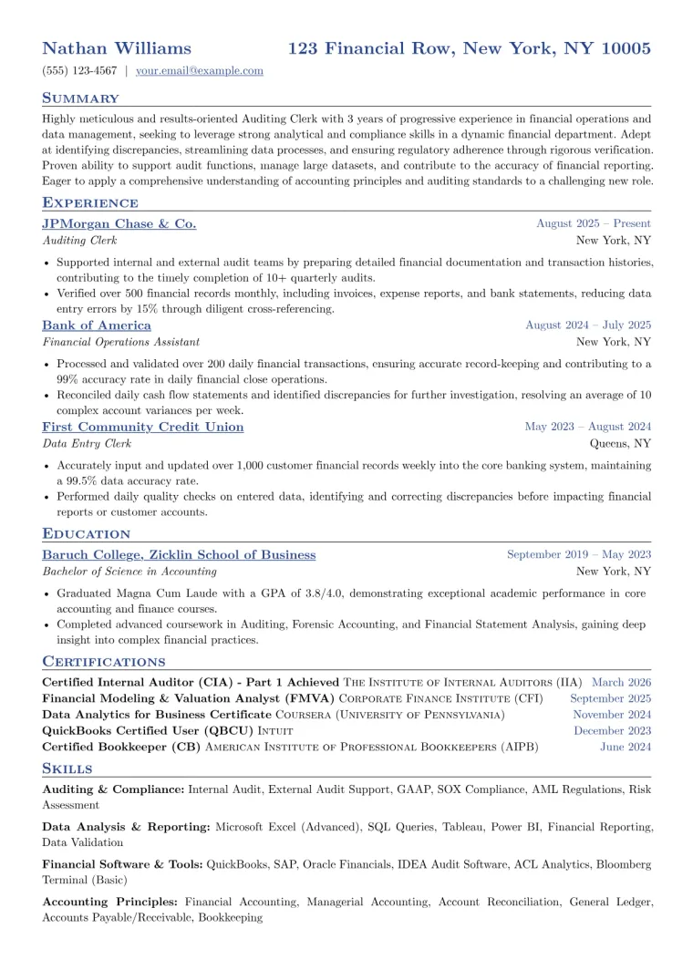 Auditing Clerk Resume Example CV template preview
