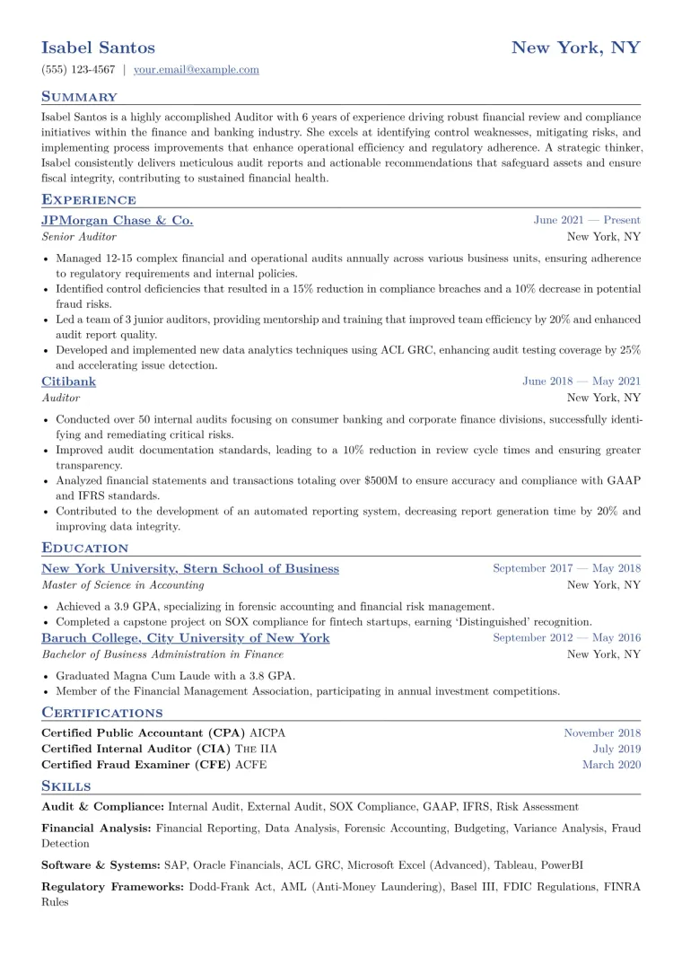 Auditor Resume Example CV template preview