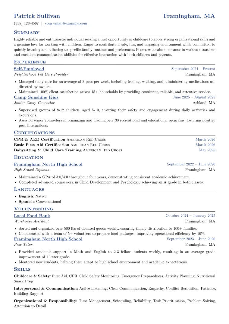 Babysitter No Experience Resume Example preview
