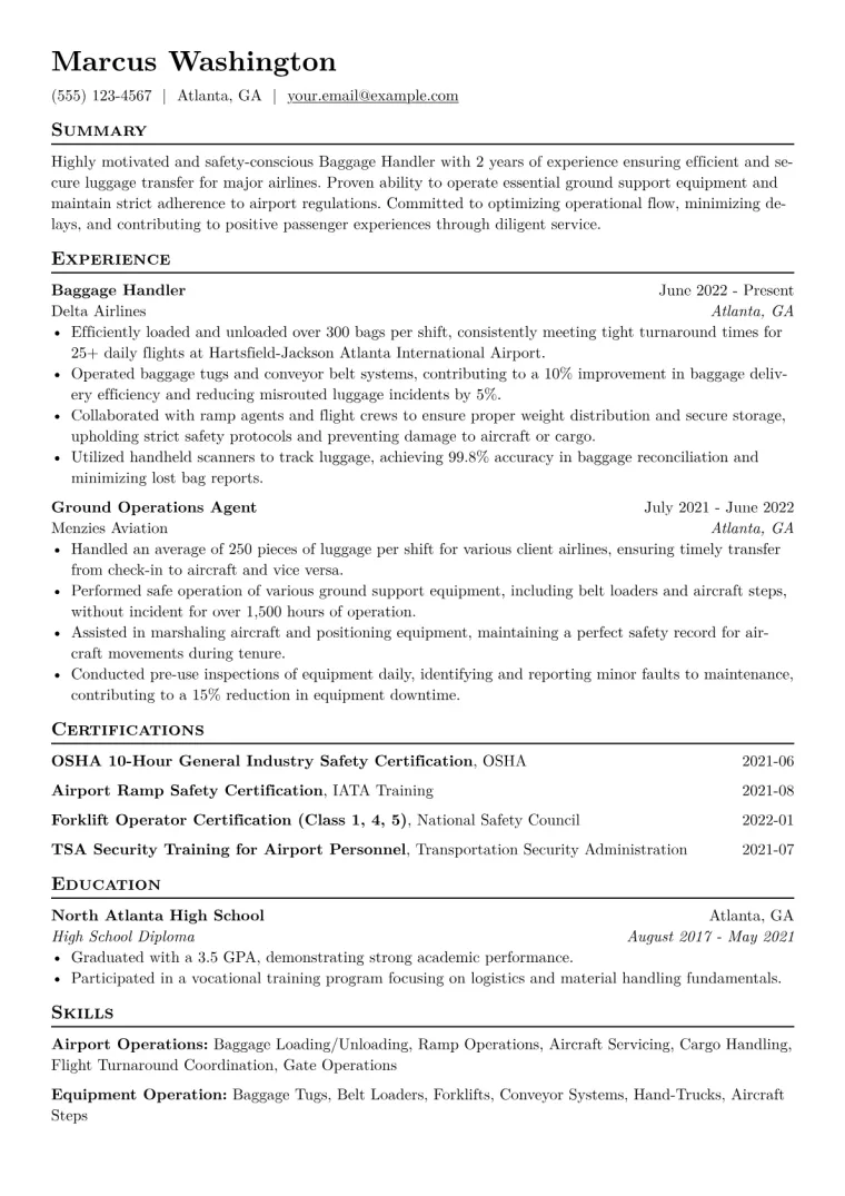 Baggage Handler Resume Example CV template preview