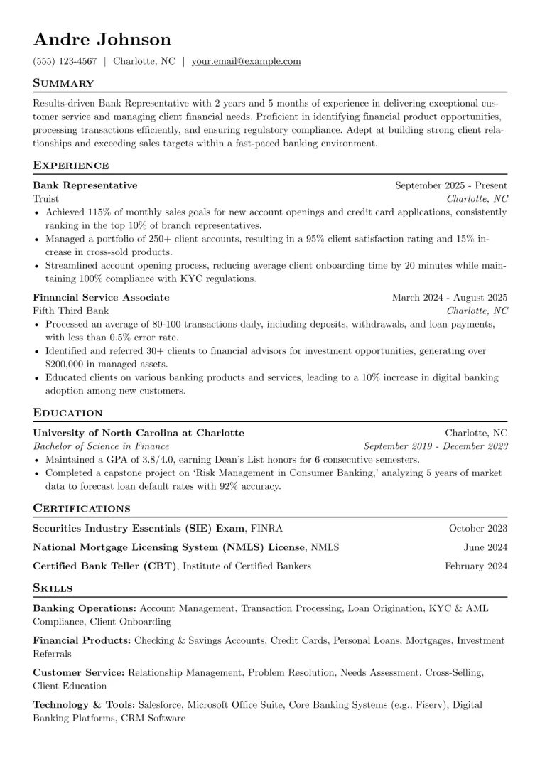 Bank Representative Resume Example preview