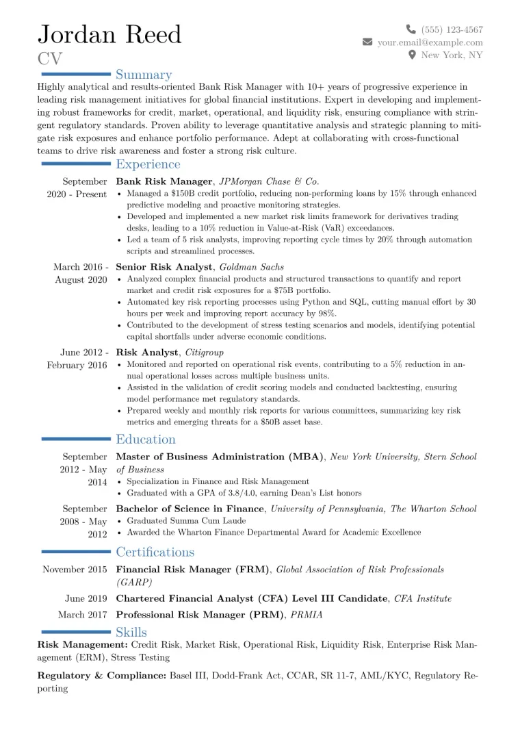 Bank Risk Manager Resume Example CV template preview