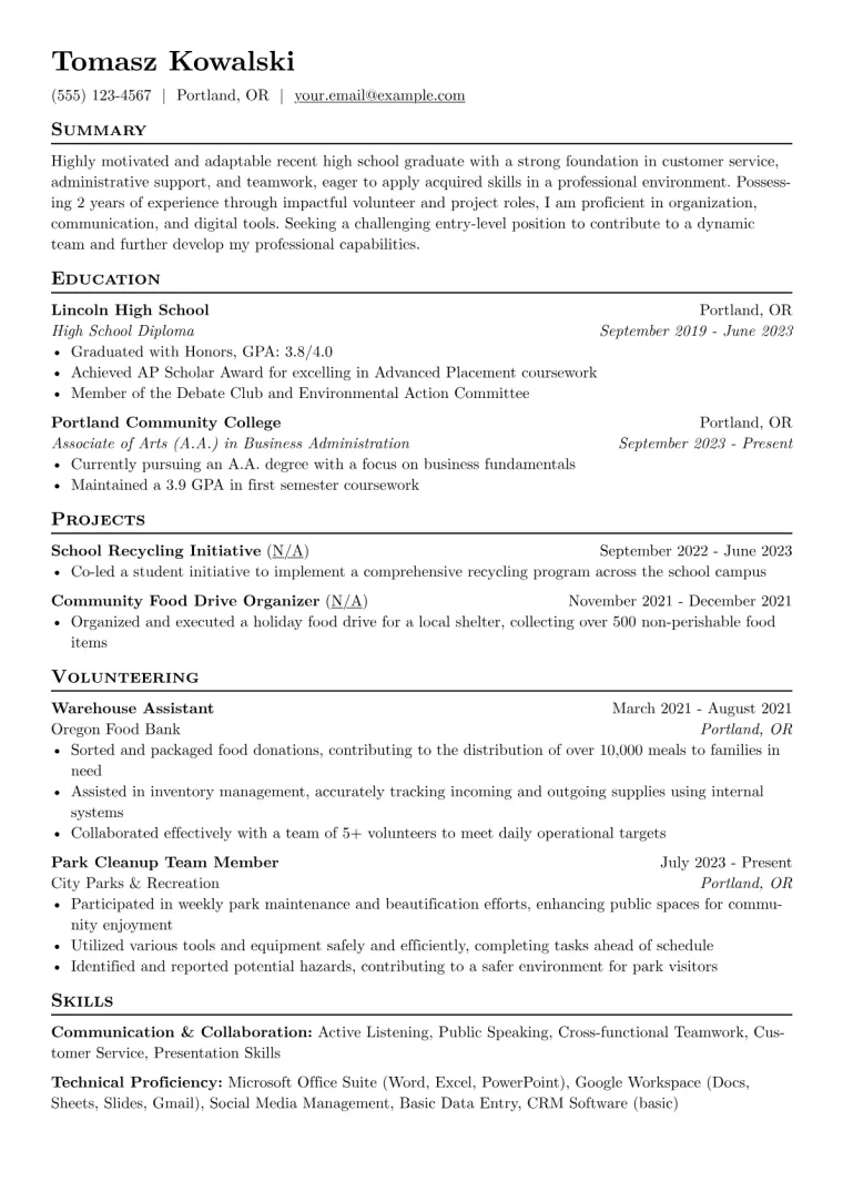 Beginner Resume Example preview