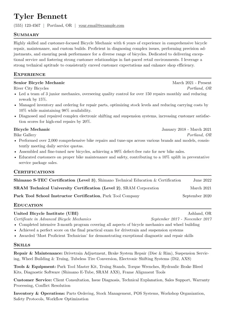 Bicycle Mechanic Resume Example CV template preview