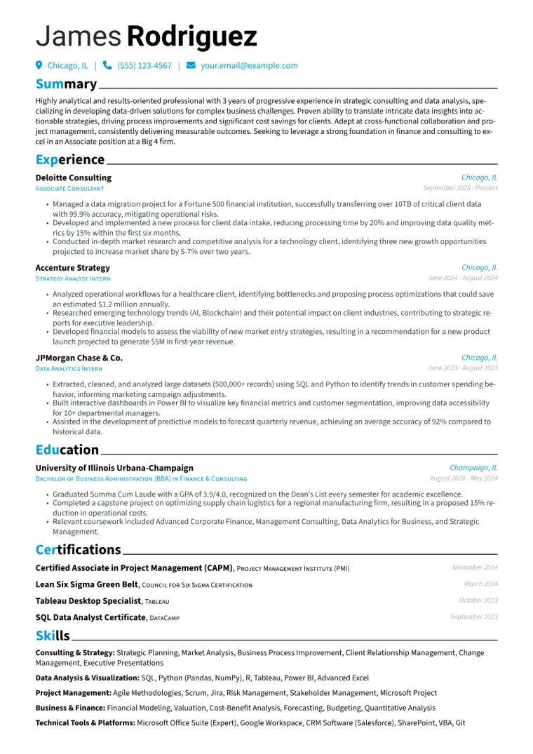 Big 4 Resume Example preview