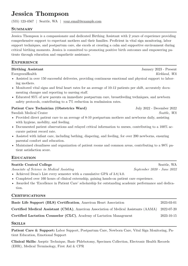 Birthing Assistant Resume Example CV template preview