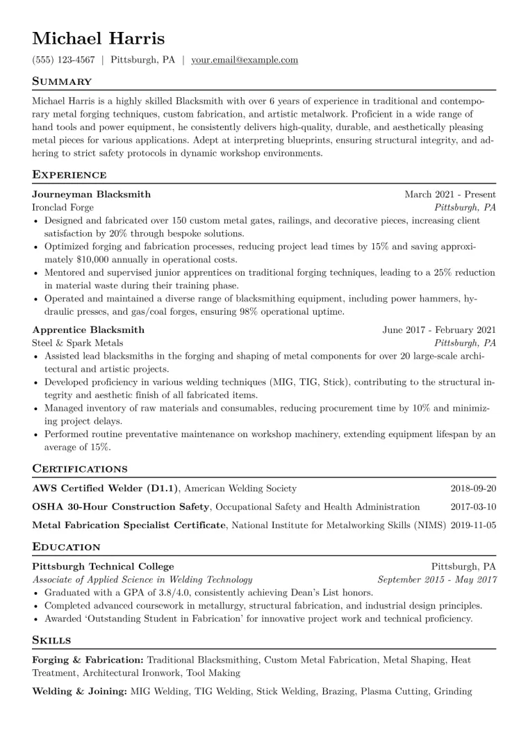 Blacksmith Resume Example CV template preview