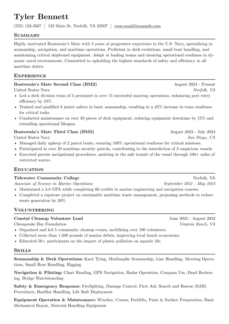 Boatswain's Mate Resume Example preview