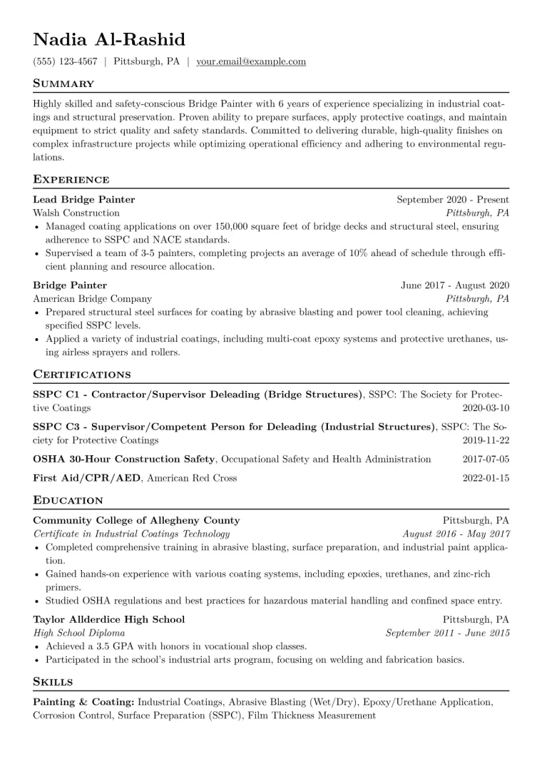 Bridge Painter Resume Example CV template preview
