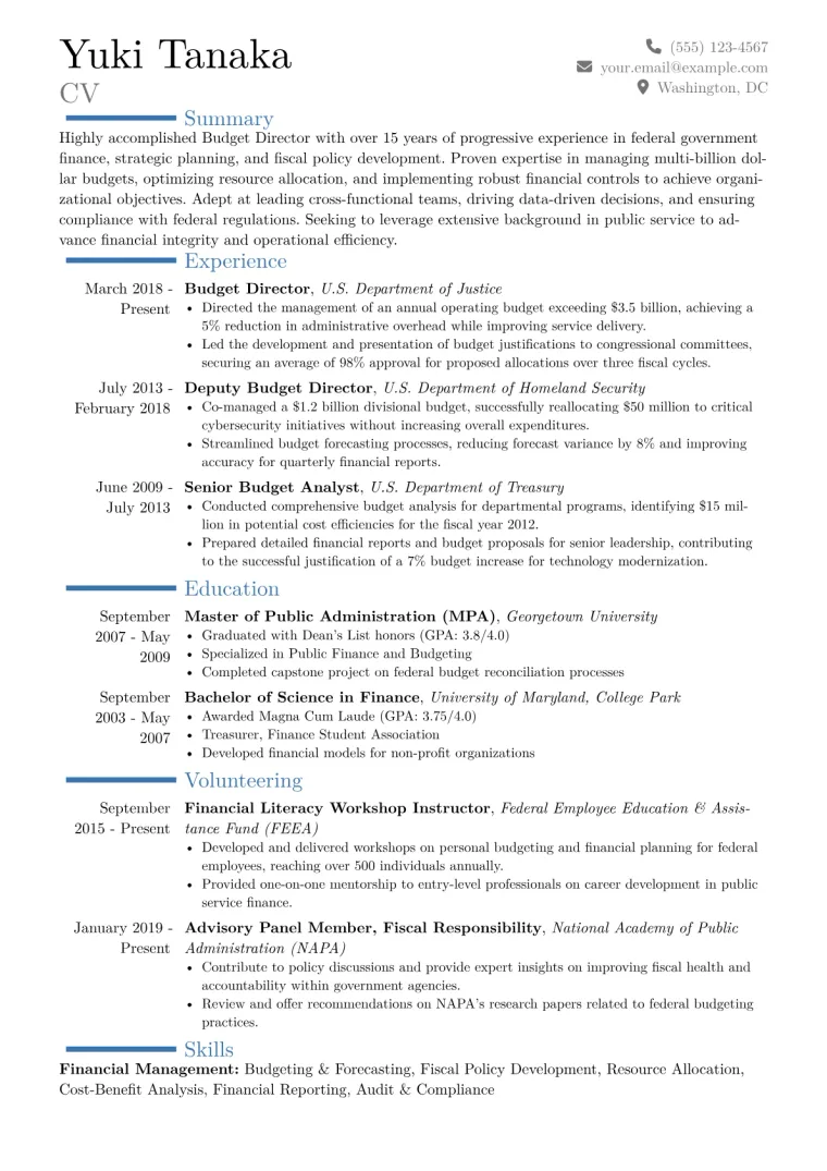 Budget Director Government Resume Example CV template preview