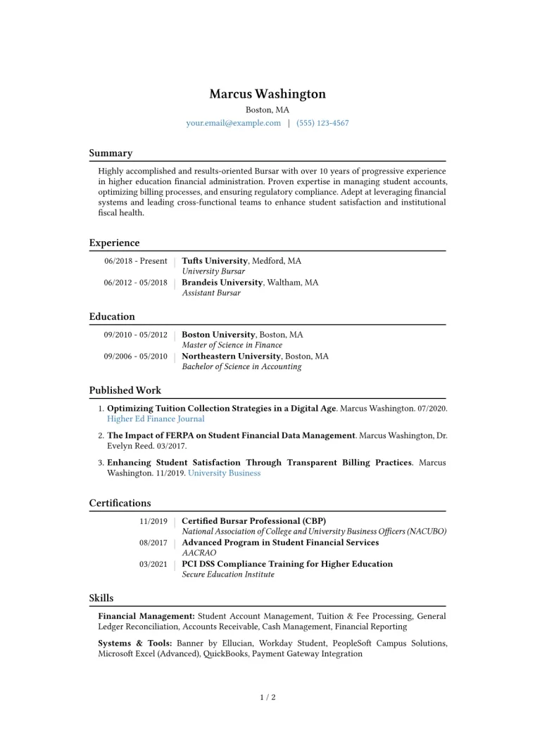 Bursar Resume Example CV template preview