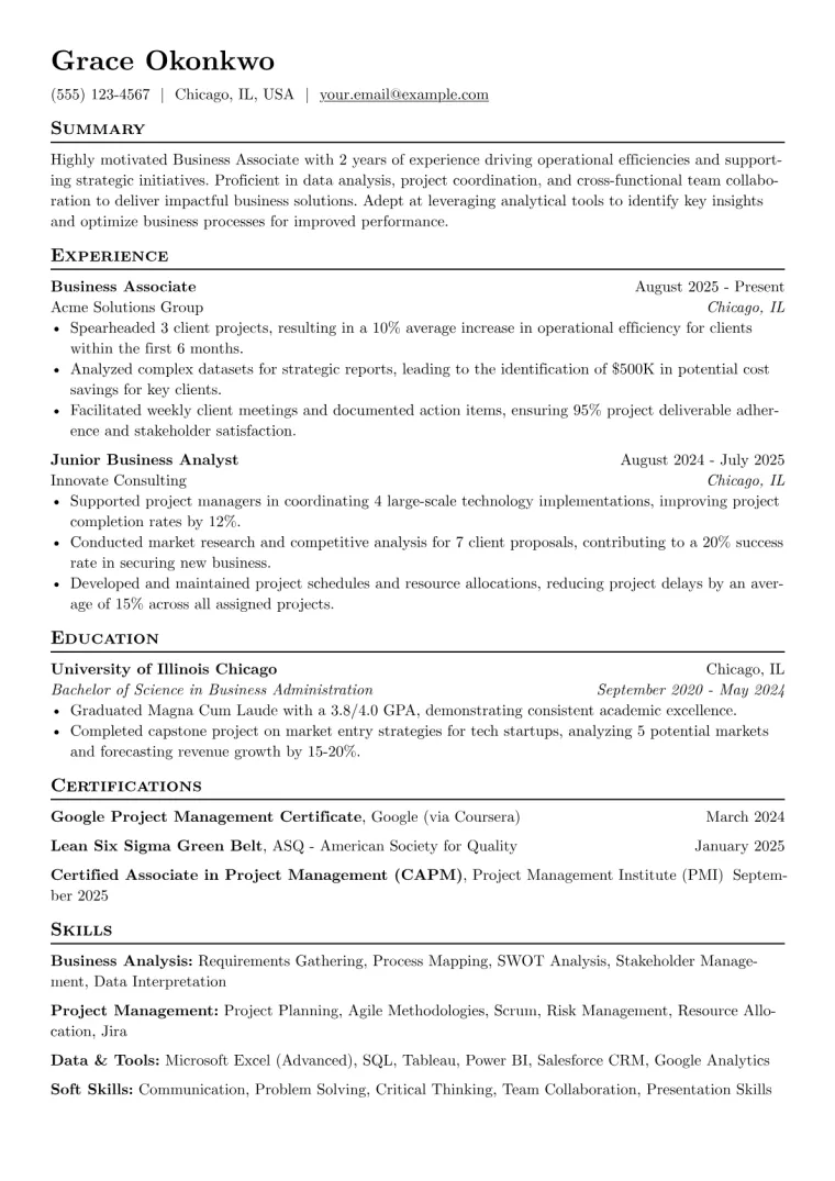 Business Associate Resume Example CV template preview