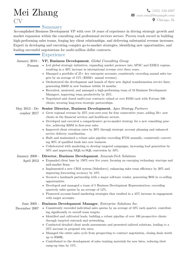 Business Development VP Resume Example CV template preview