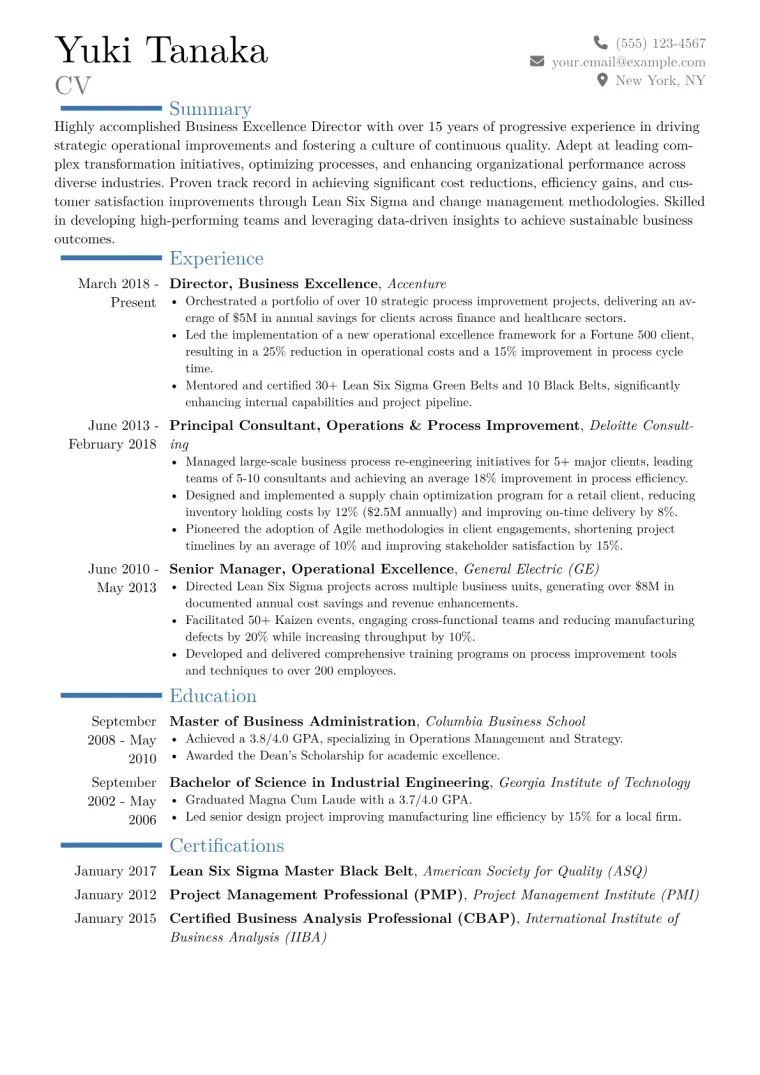 Business Excellence Director Resume Example CV template preview