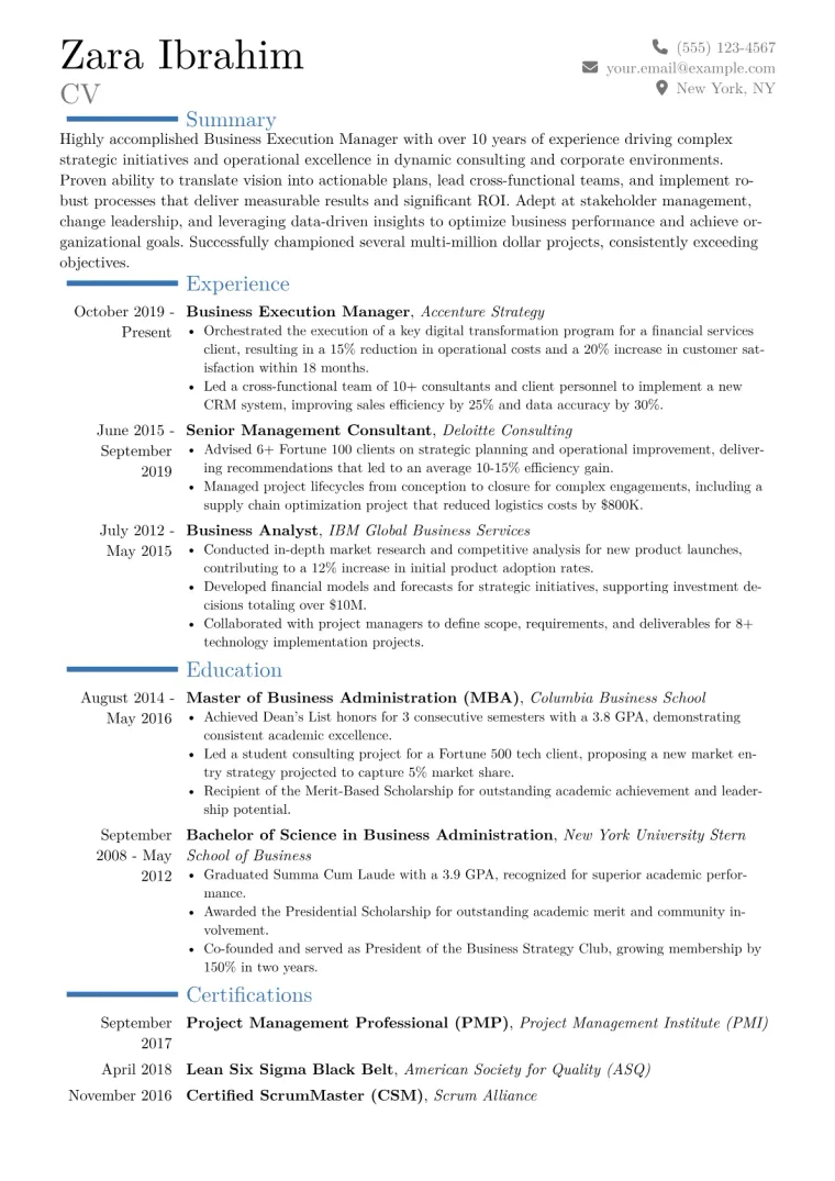 Business Execution Manager Resume Example CV template preview