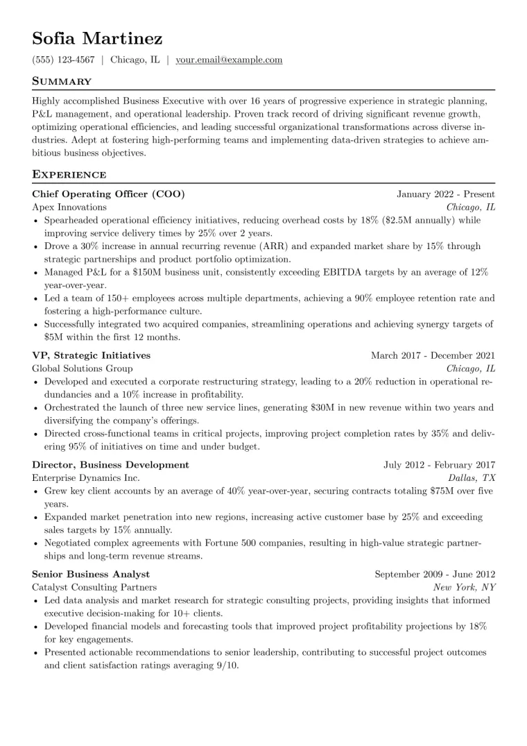 Business Executive Resume Example CV template preview