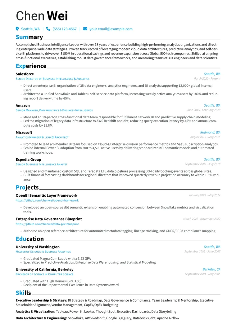 Business Intelligence Director Resume Example preview
