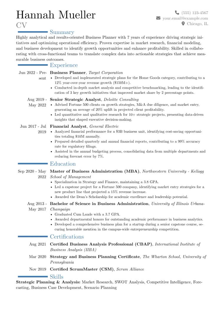 Business Planner Resume Example CV template preview