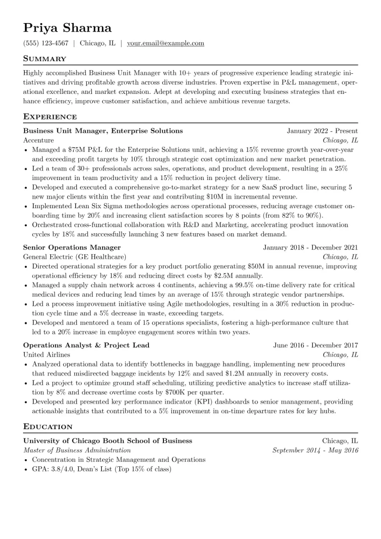Business Unit Manager Resume Example CV template preview