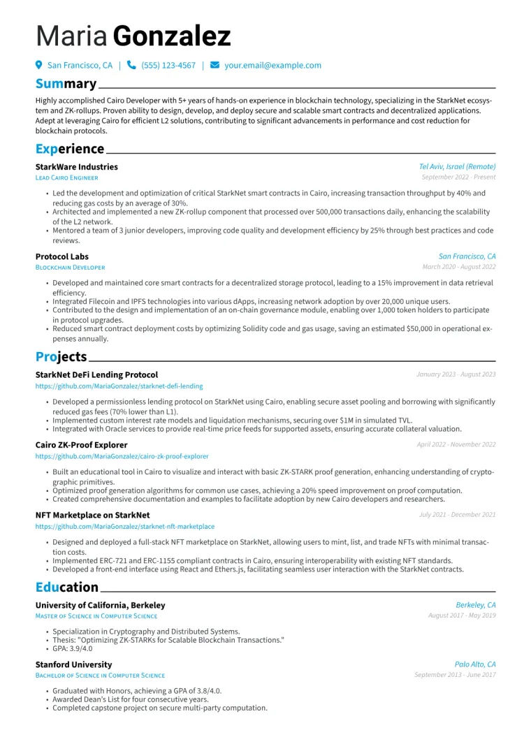 Cairo Developer Resume Example CV template preview