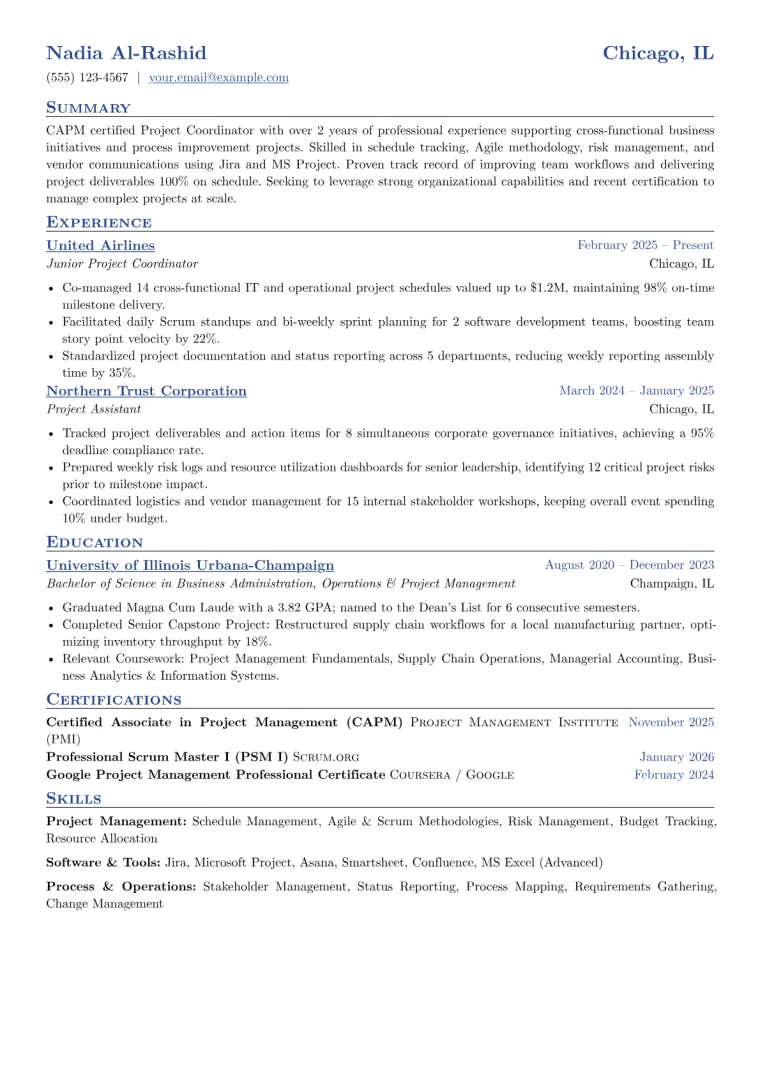 CAPM Certified Professional Resume Example CV template preview