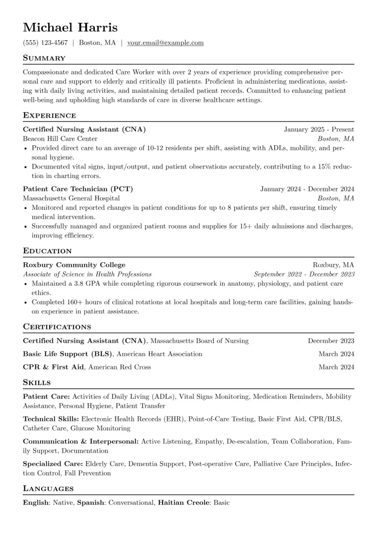 Care Worker Resume Example preview