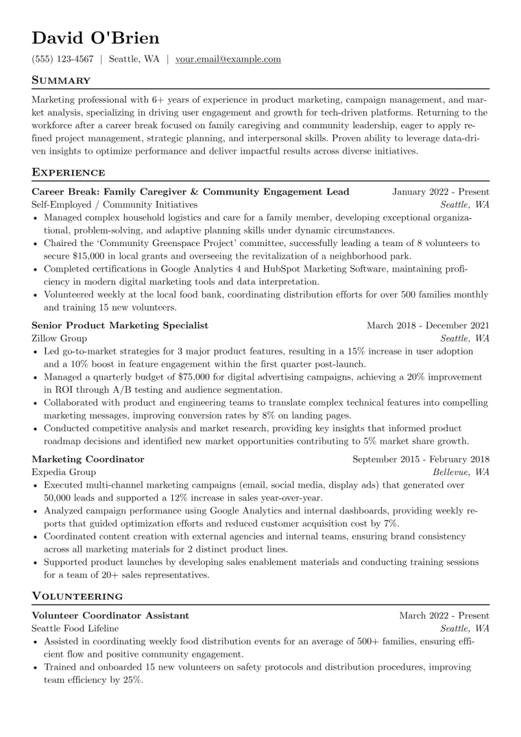 Career Break Resume Example preview
